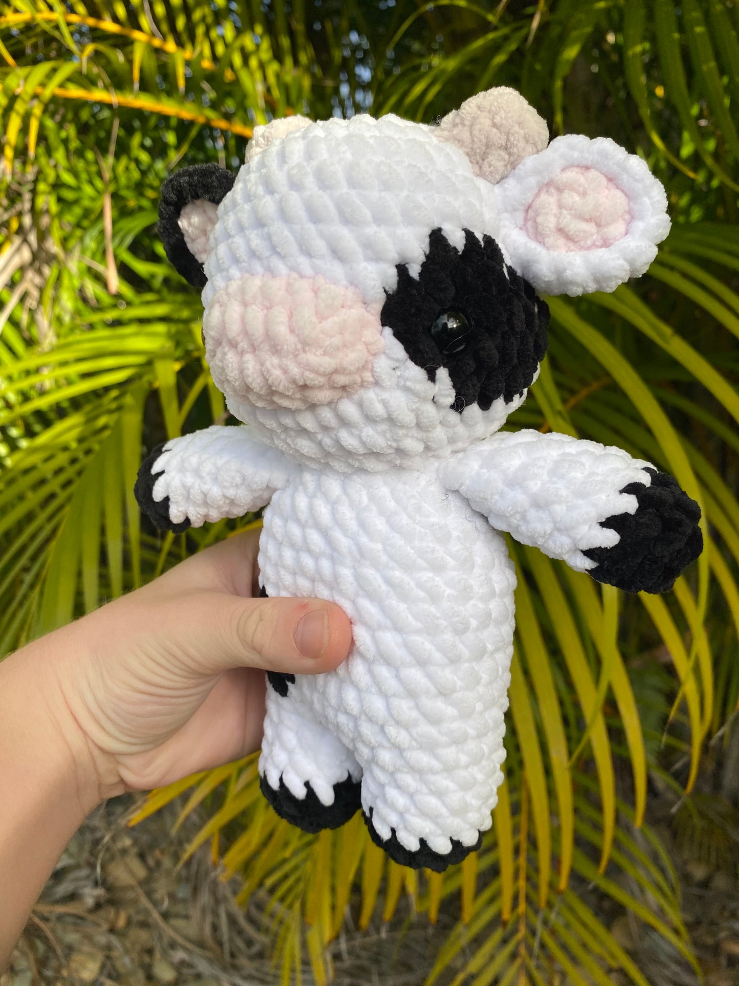 Cali the Cow