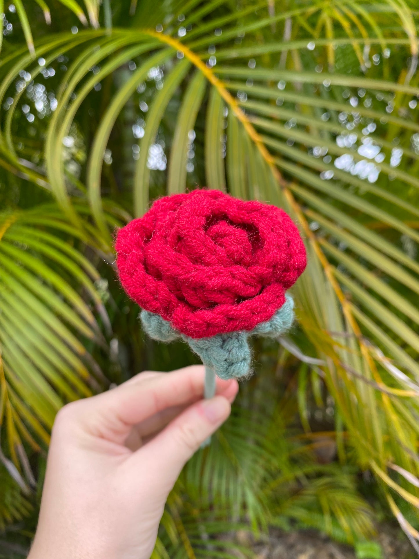 Mini roses