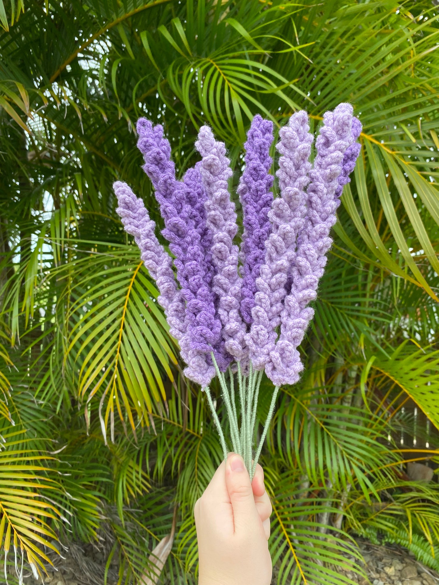 Lavender