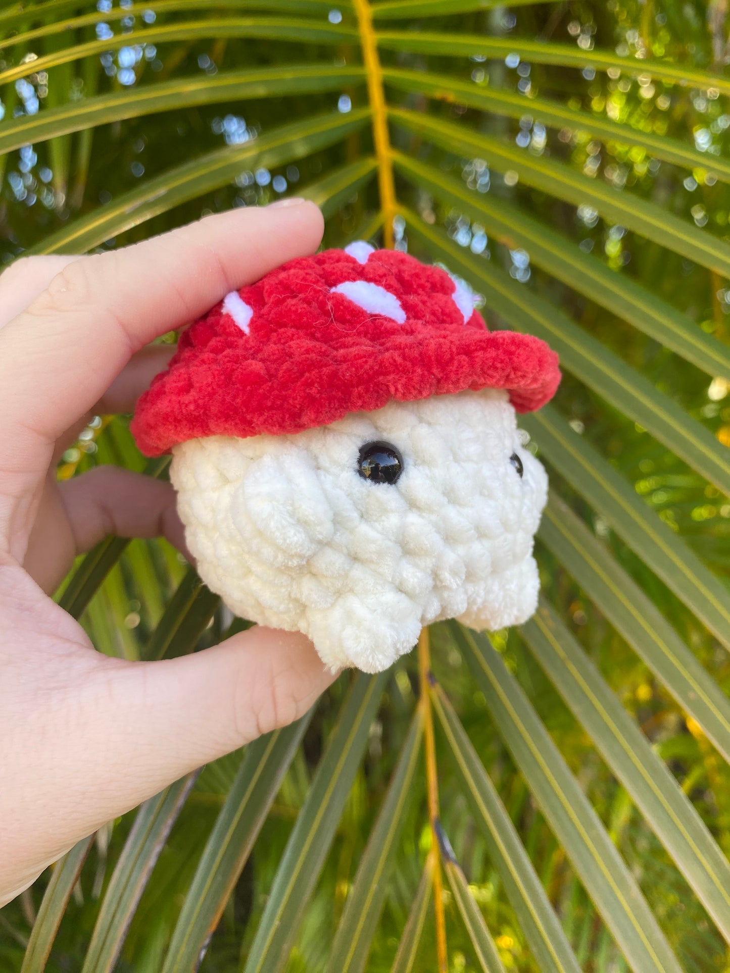 Mushroom Boys