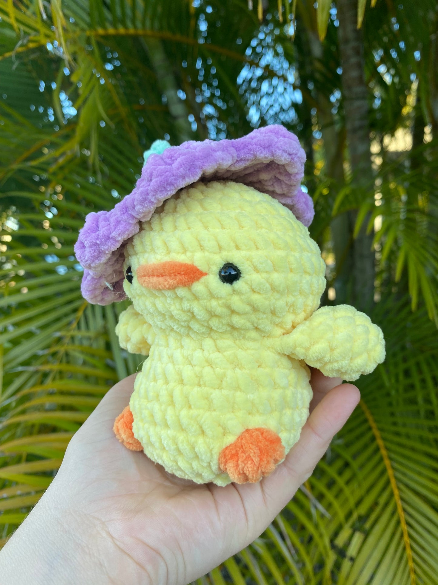 Cassie the Chicken