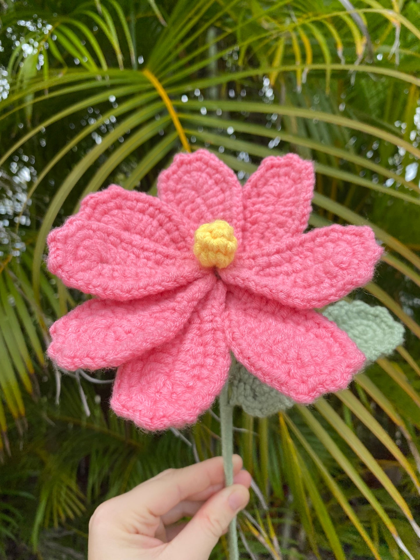 Cosmos