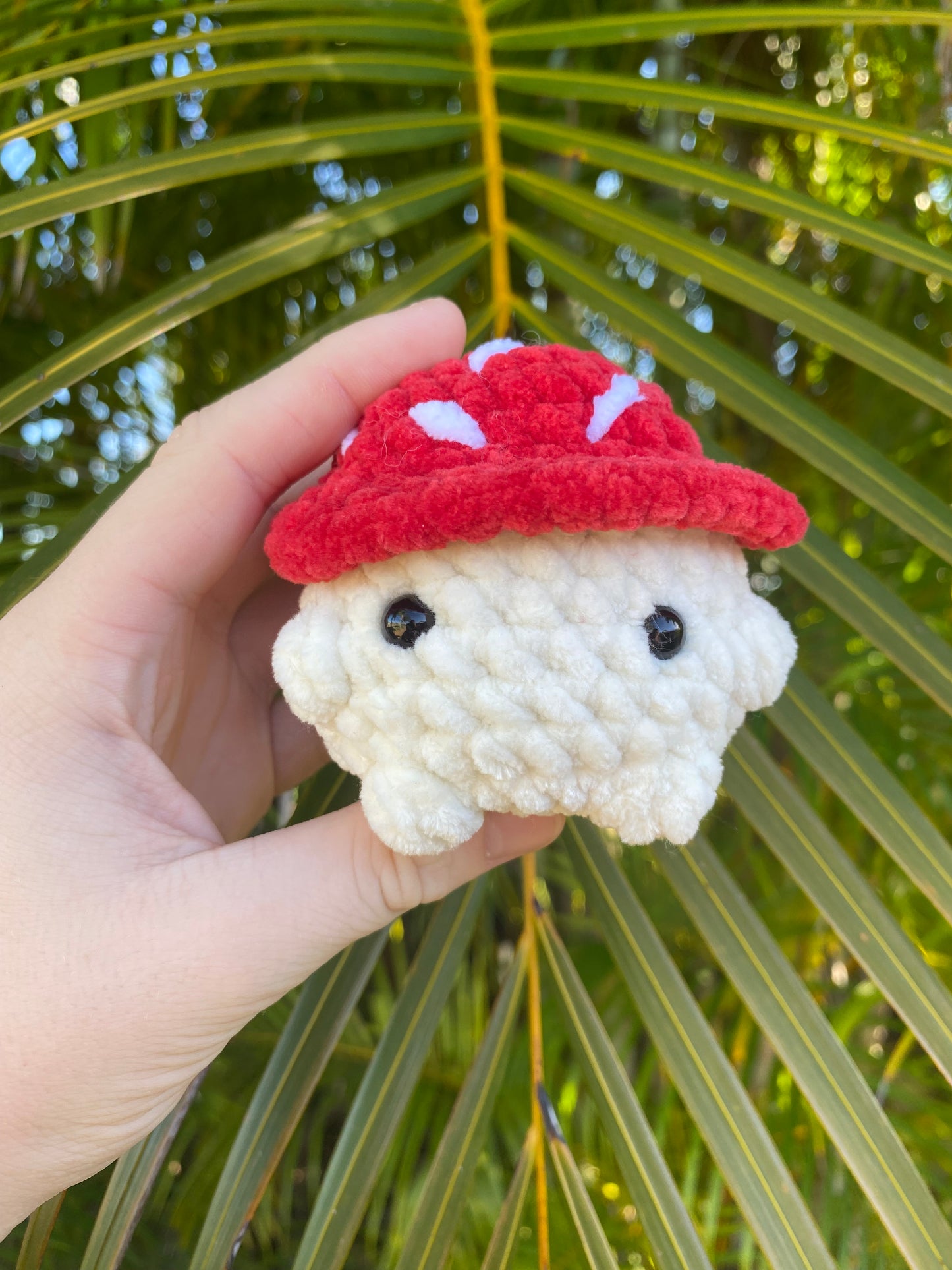 Mushroom Boys