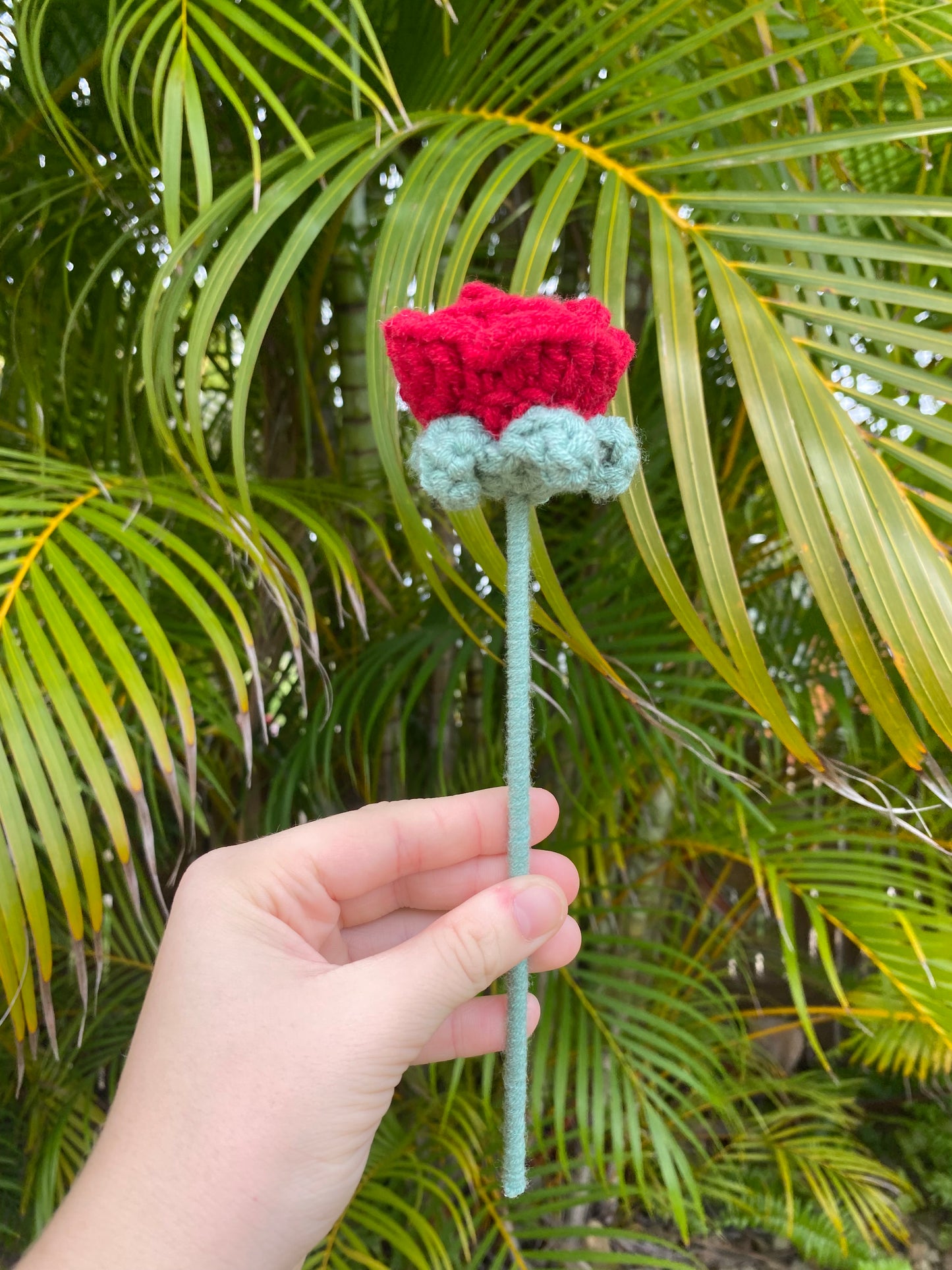 Mini roses