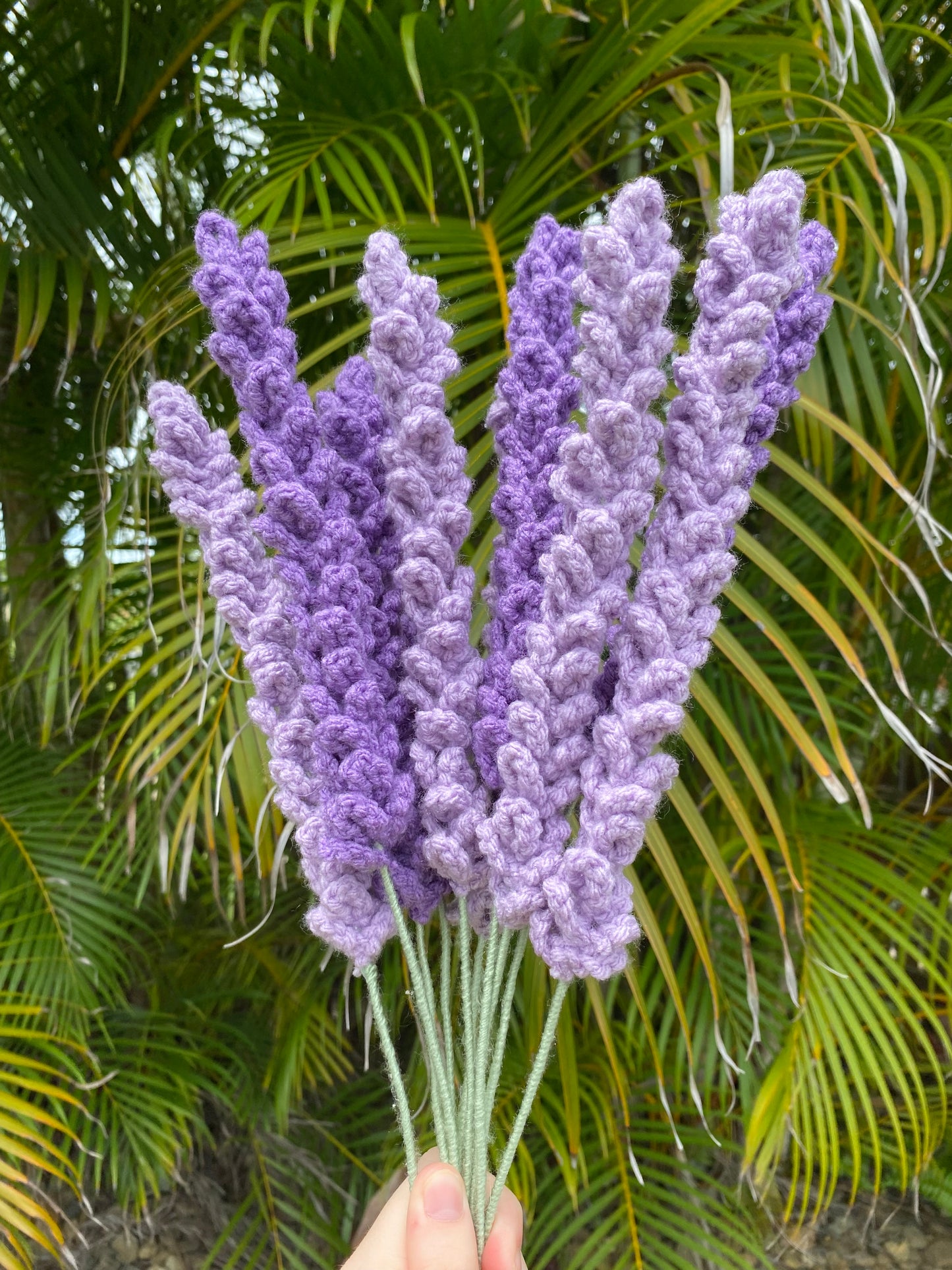 Lavender