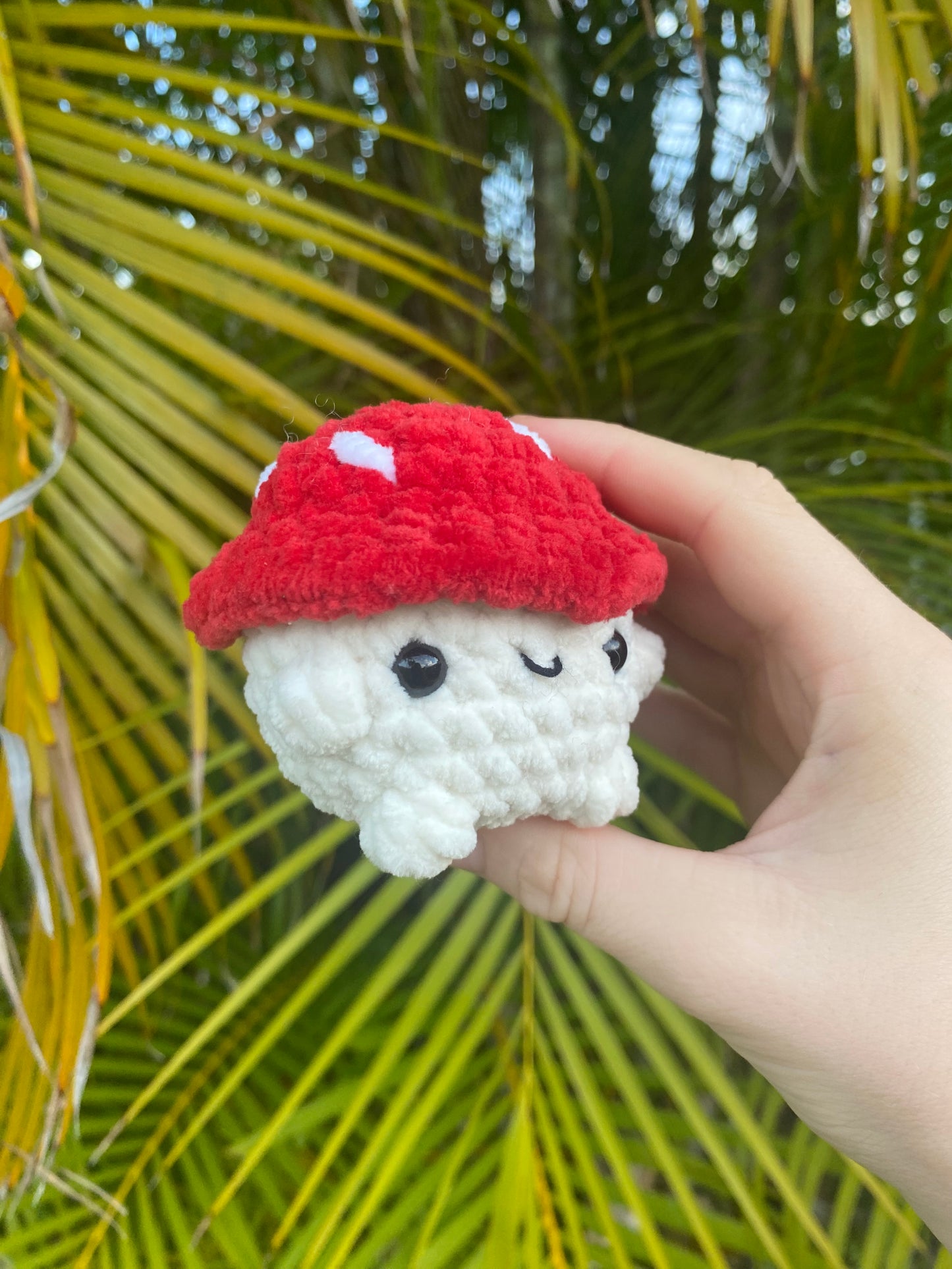 Mushroom Boy