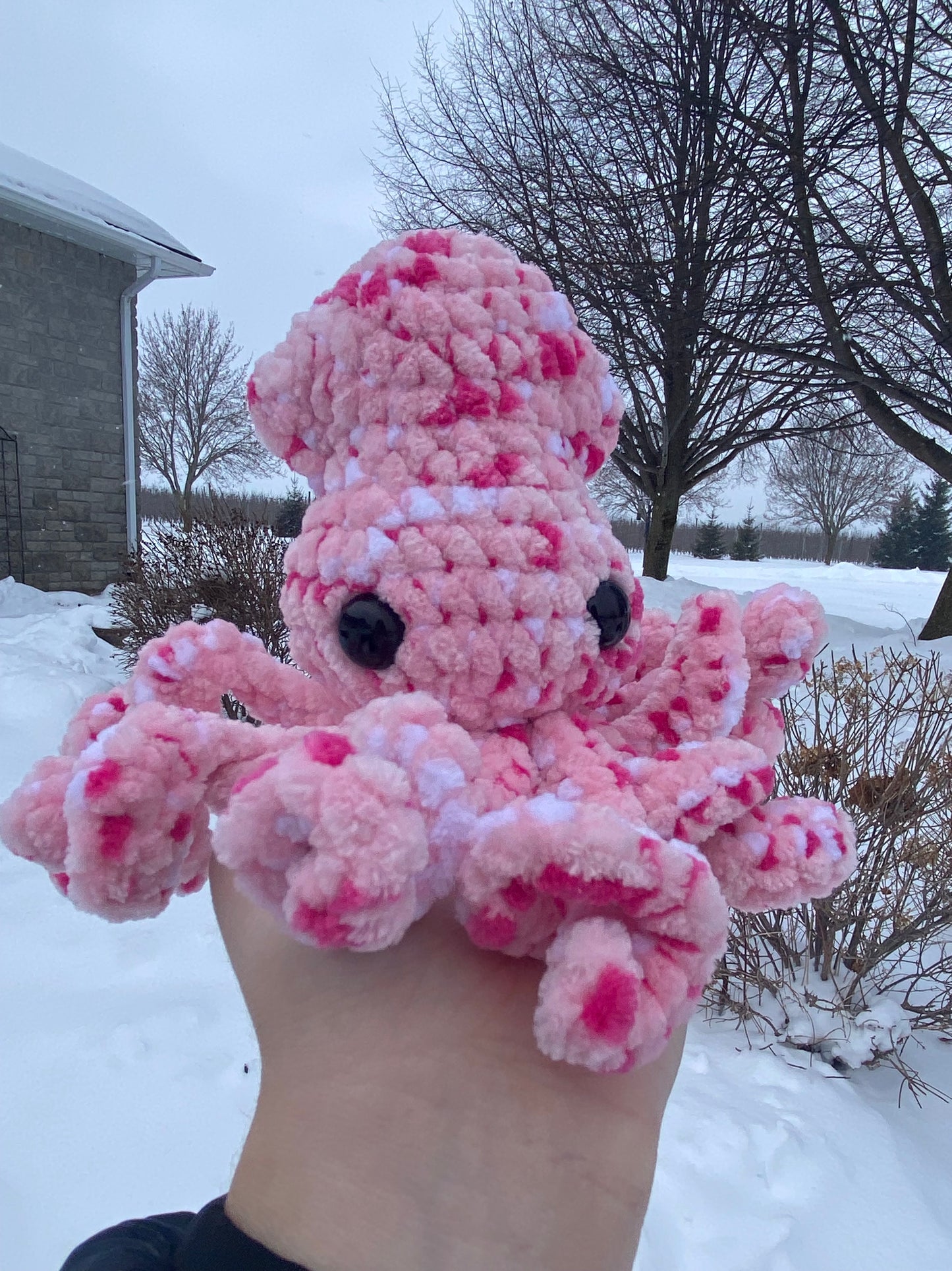 Sally the Squid