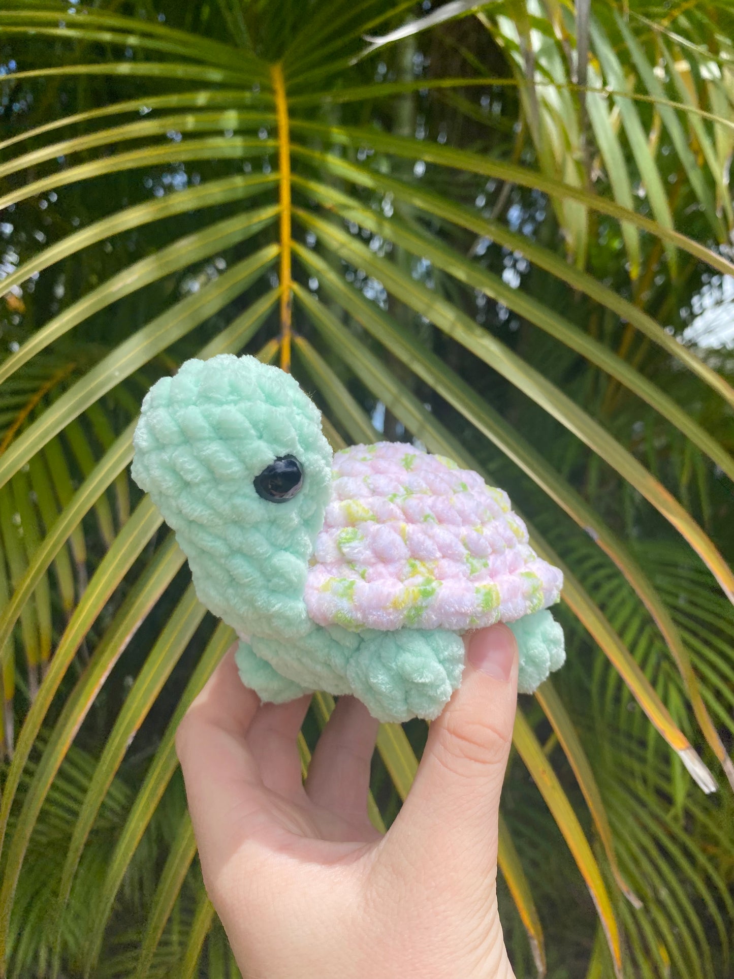 Tofu the Turtle