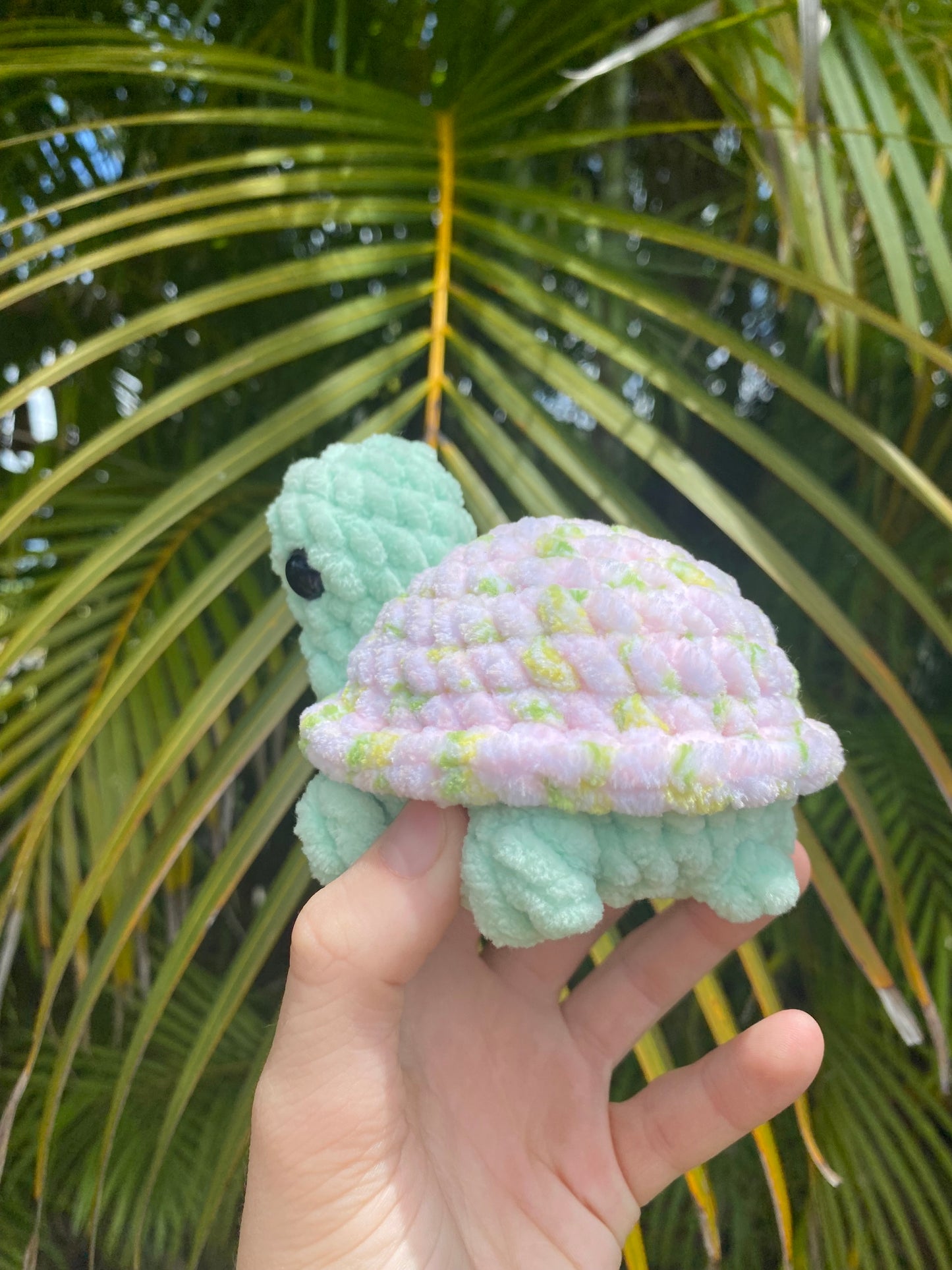 Tofu the Turtle