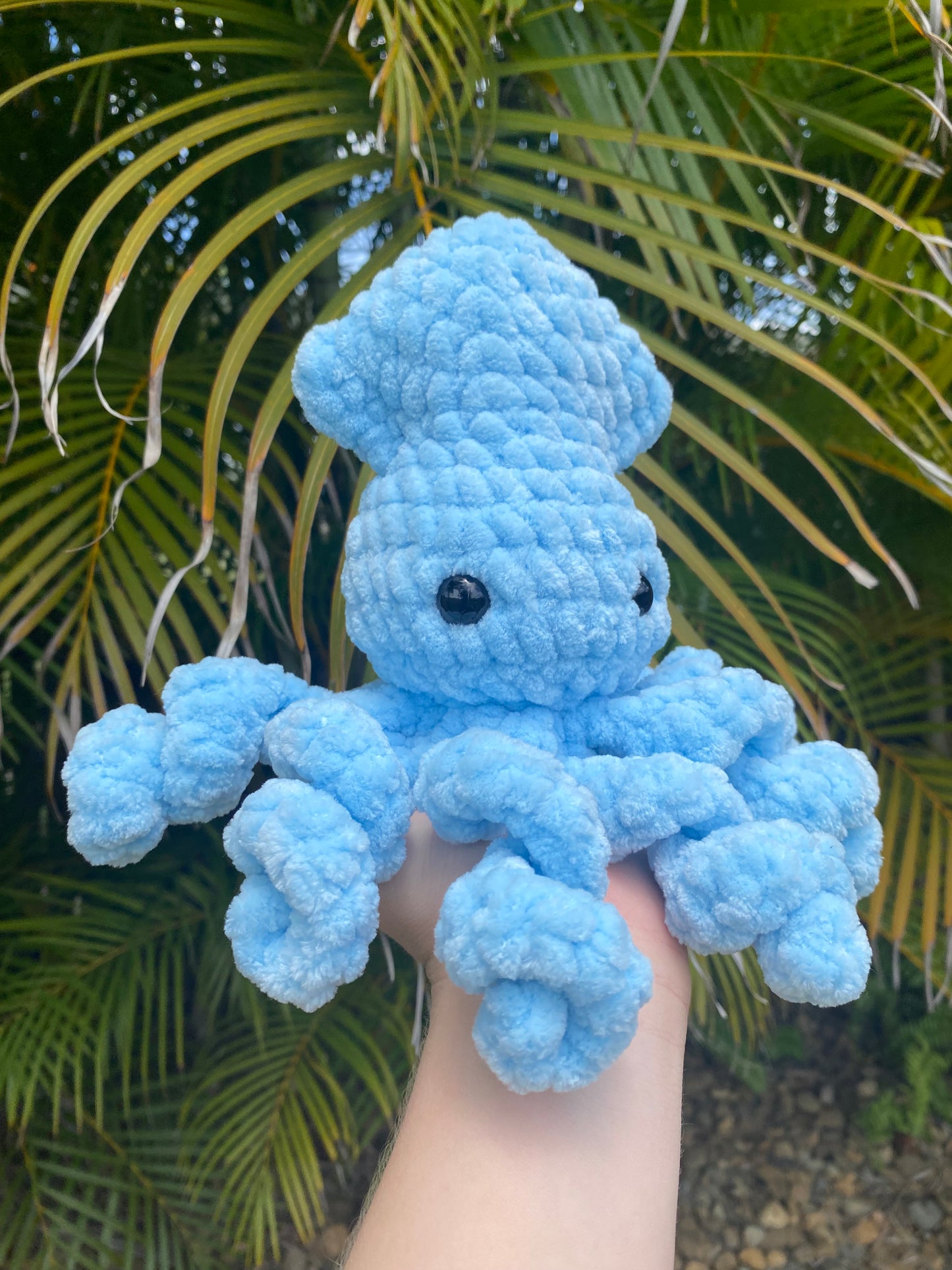 Sally the Squid