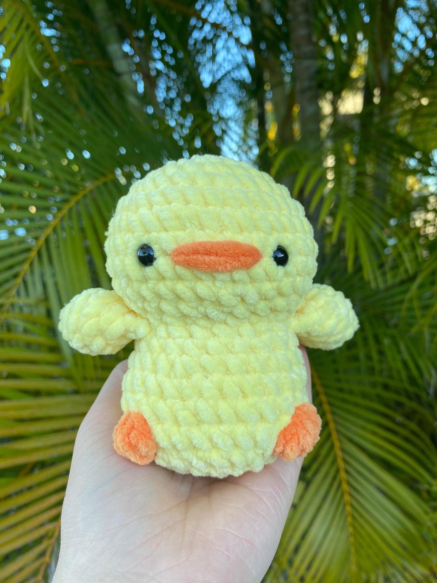 Cassie the Chicken