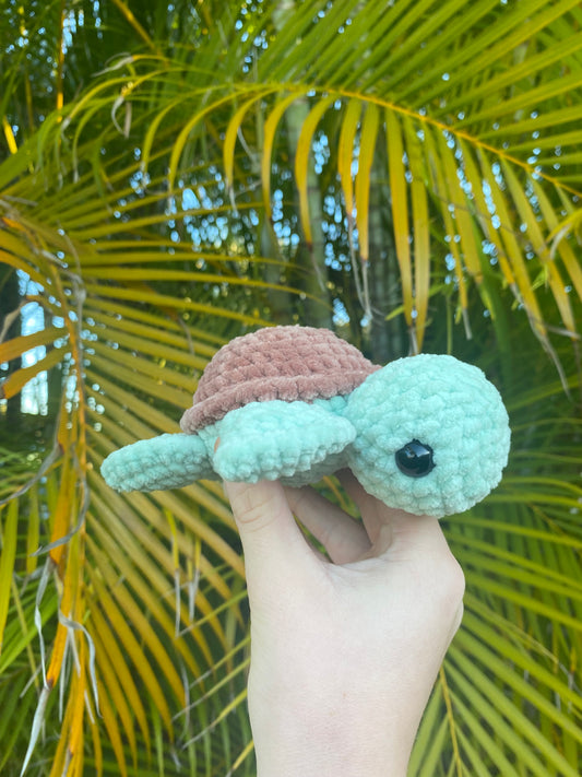 Sea Turtle