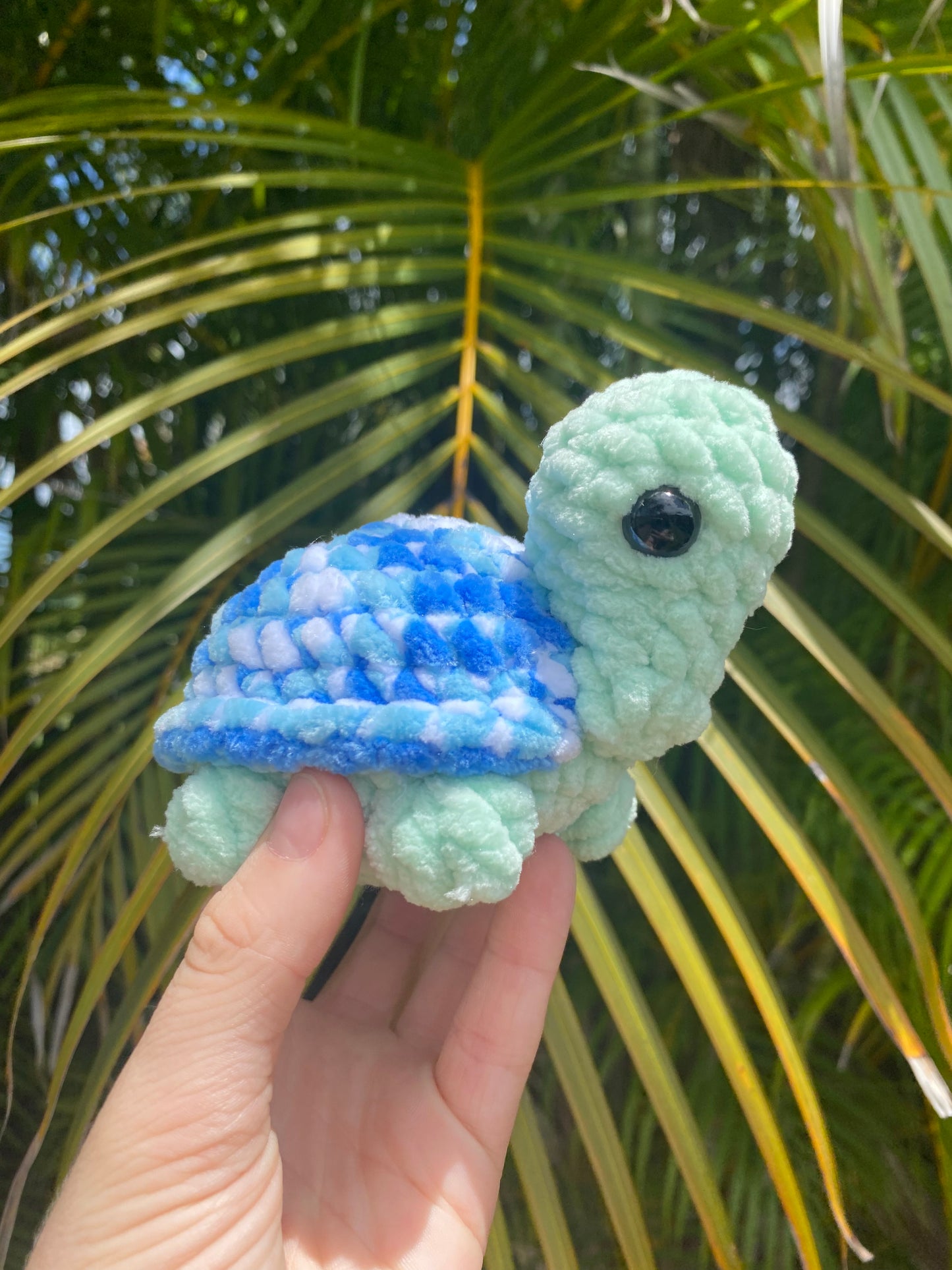 Tofu the Turtle