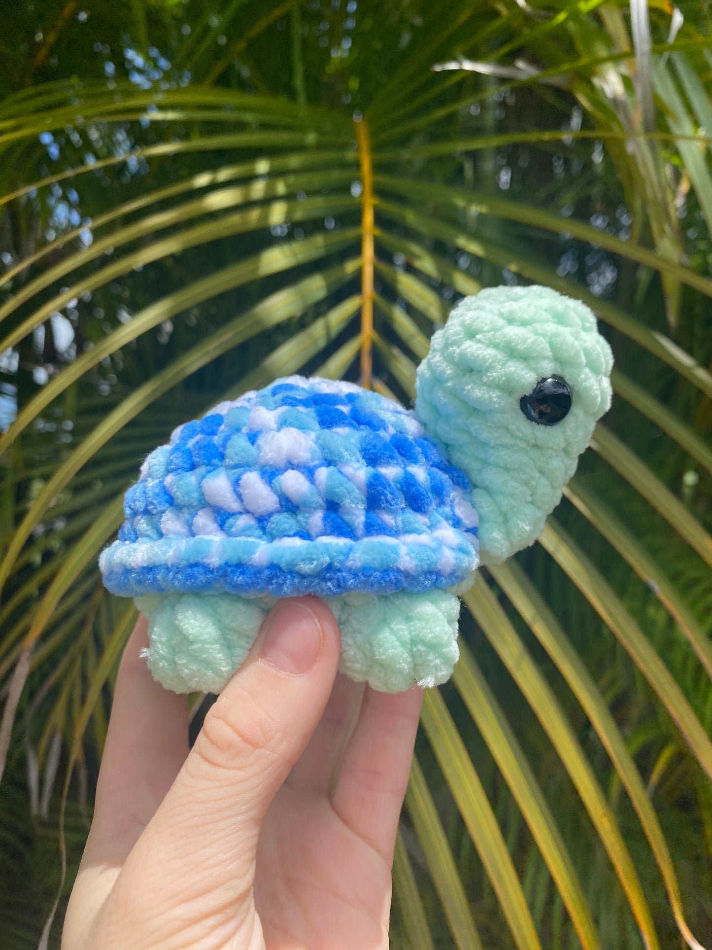 Tofu the Turtle