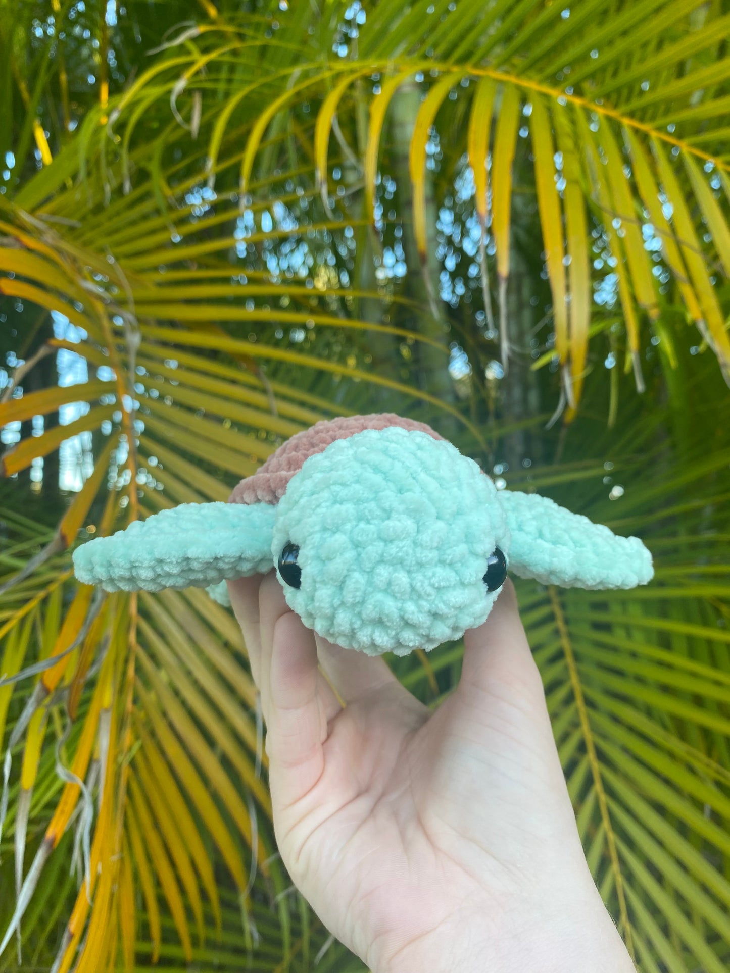 Sea Turtle