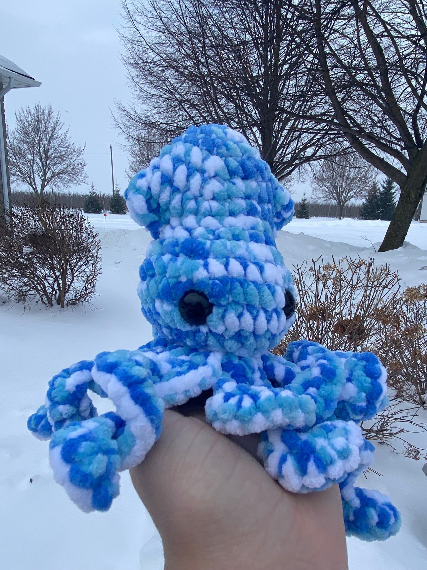Sally the Squid