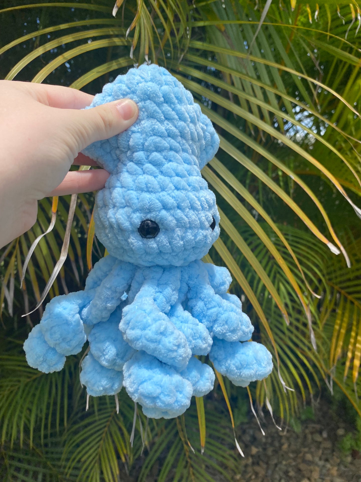 Sally the Squid