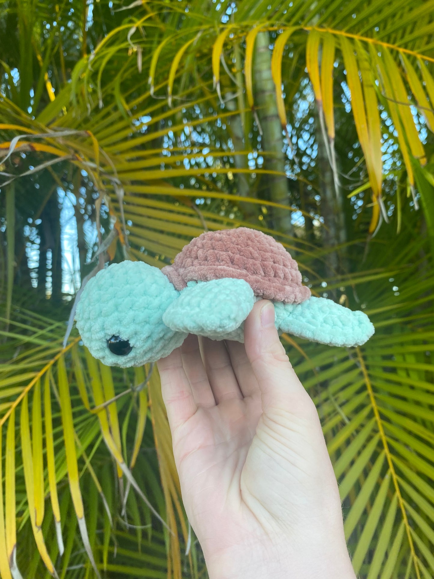 Sea Turtle