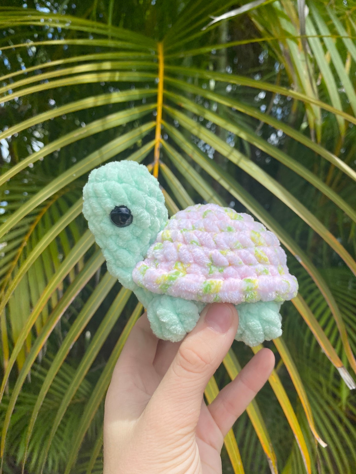 Tofu the Turtle