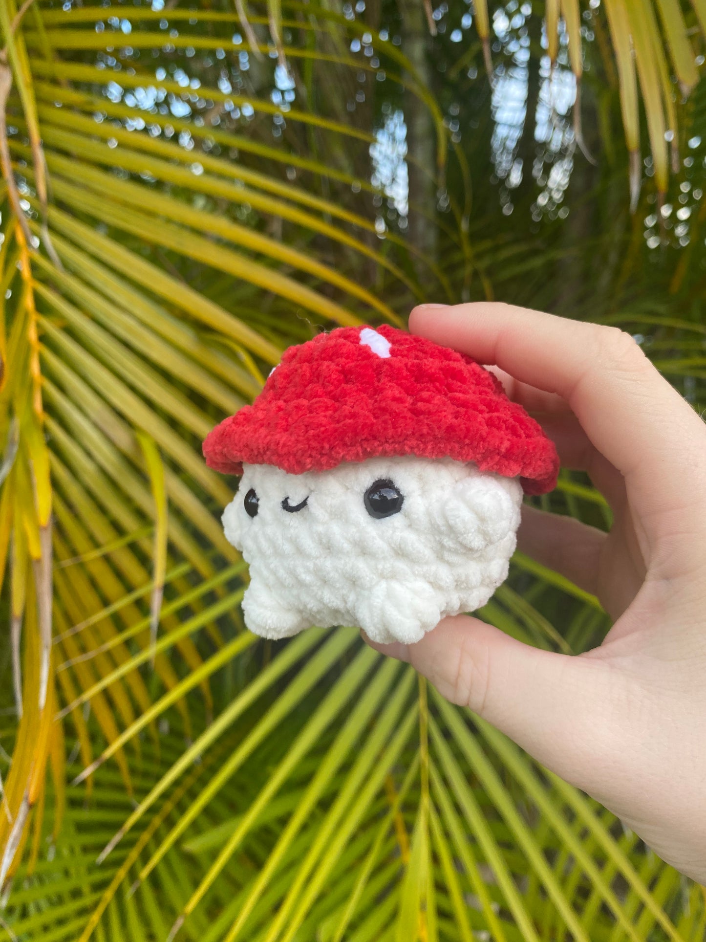 Mushroom Boy