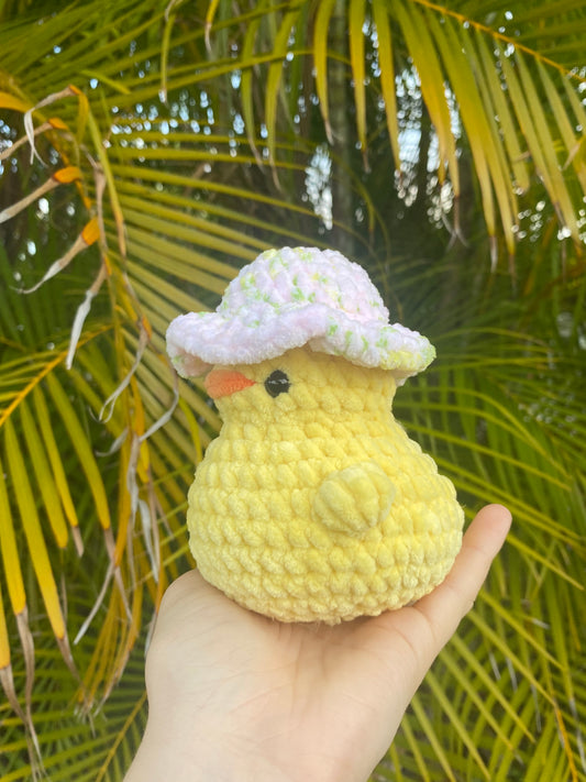 Duck