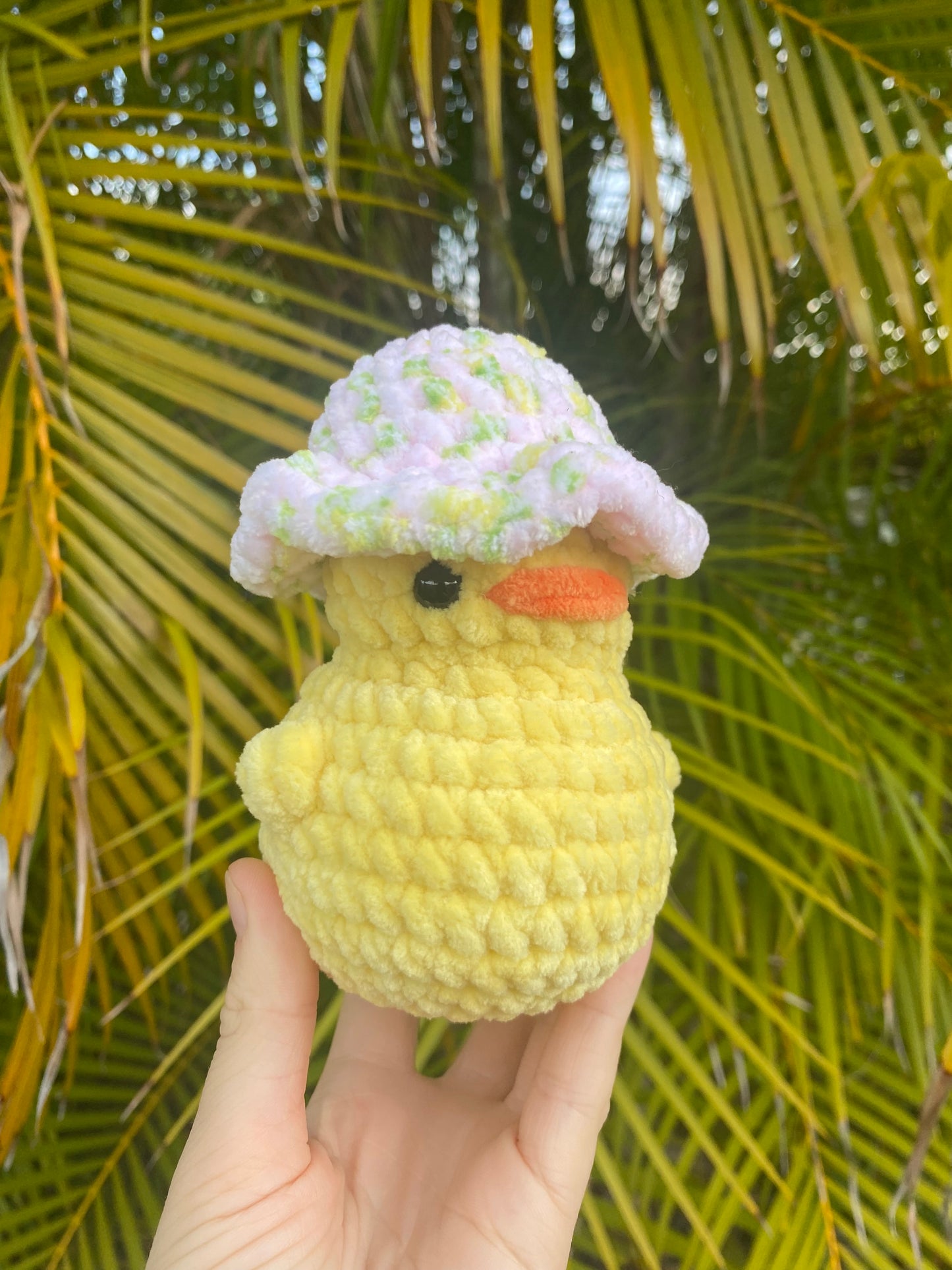 Duck