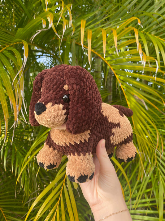 Dachshund