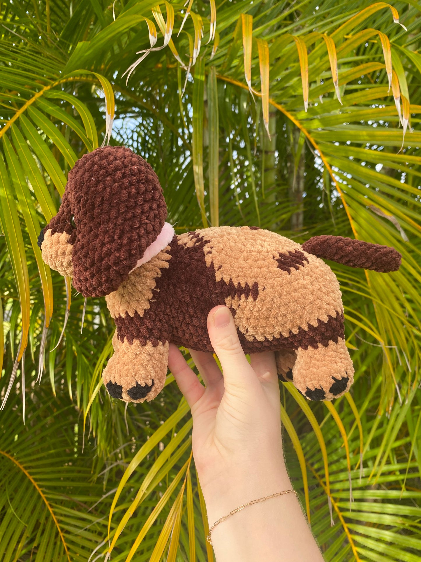 Dachshund